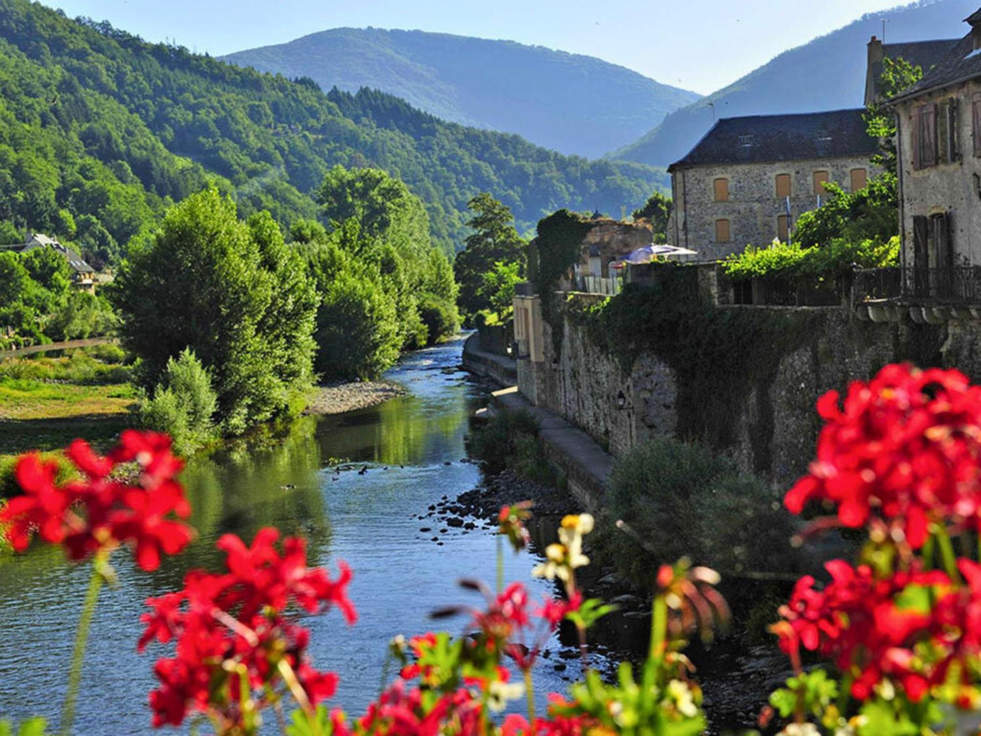 La Maison Bleue, Village Vacances, Piscine, Parking Saint-Geniez-d'Olt Exterior photo